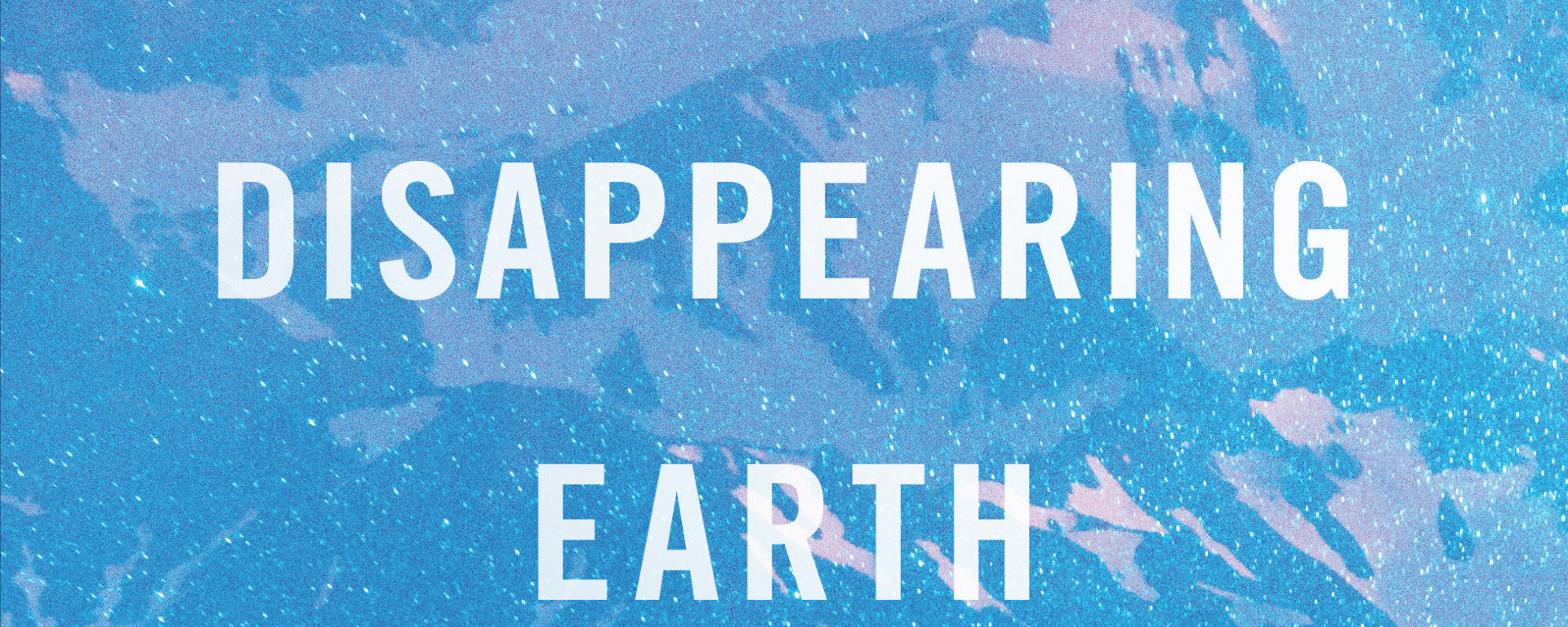 Disappearing Earth book cover