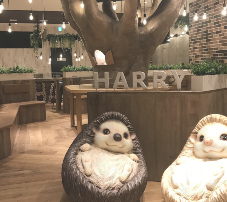 Harry Hedgehog Cafe in Japan