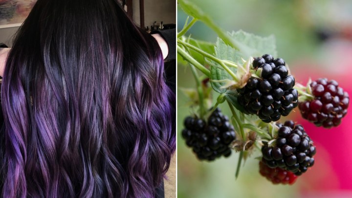 blackberry-hair-dye